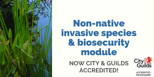 Invasive species training module now City & Guilds accredited
