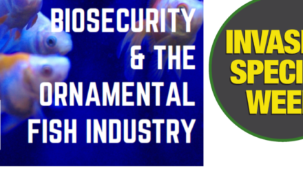 Get instant biosecurity advice with new guide & risk assessment tool