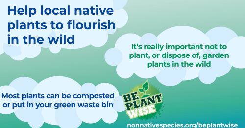 Now’s the time to compost with care