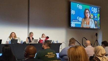 An overview of the CITES Marine workshop