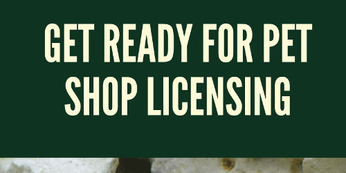 Get ready for pet shop licensing