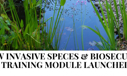 New training launched for Invasive Species Week