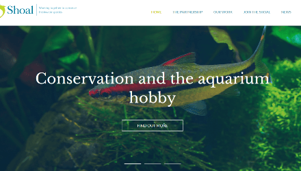 OATA supports new freshwater fish conservation programme