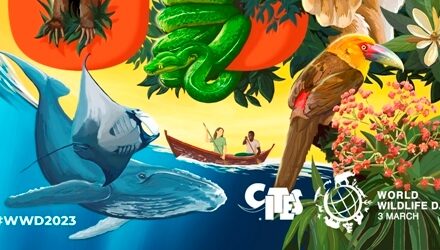 World Wildlife Day 2023